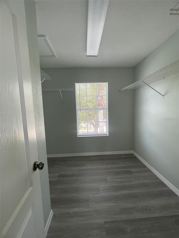2827 Suncoast Lakes Boulevard - Photo 15