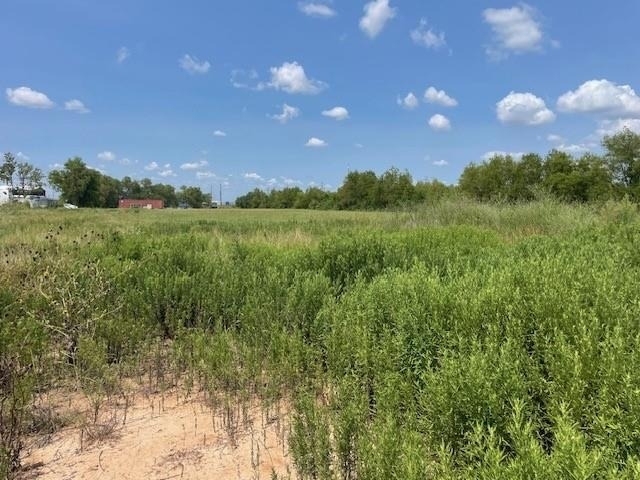 22831 Beckendorff Rd Road - Photo 3
