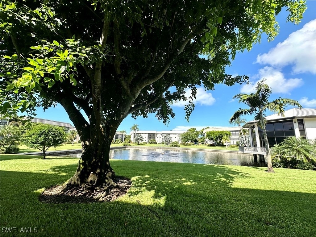 788 Park Shore Drive - Photo 30