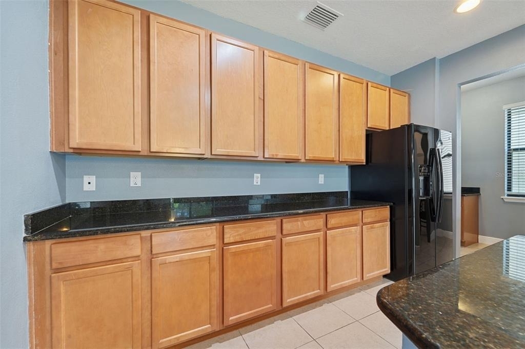 11006 Tahiti Isle Lane - Photo 11