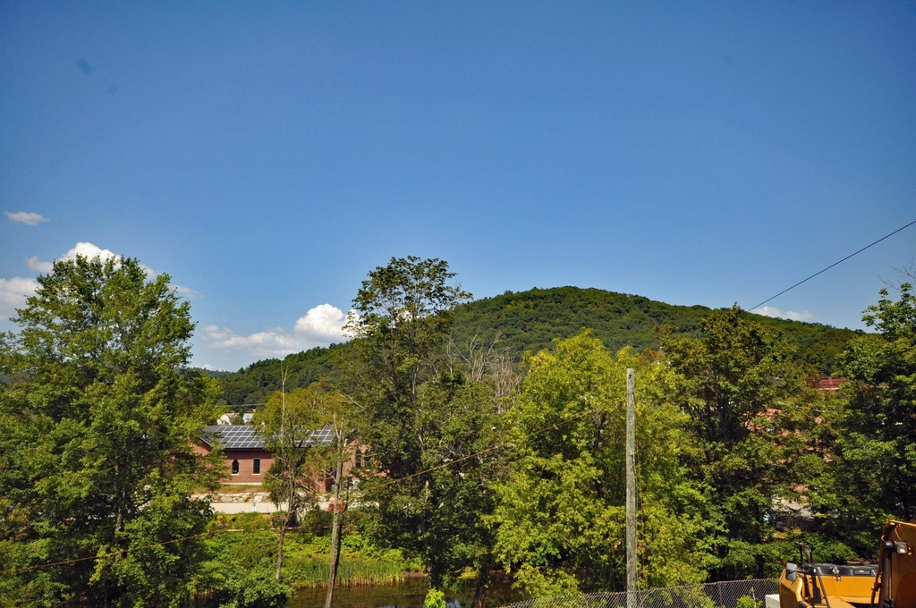 40 Beech - Photo 4