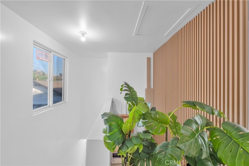 3115 Arvia Street - Photo 2