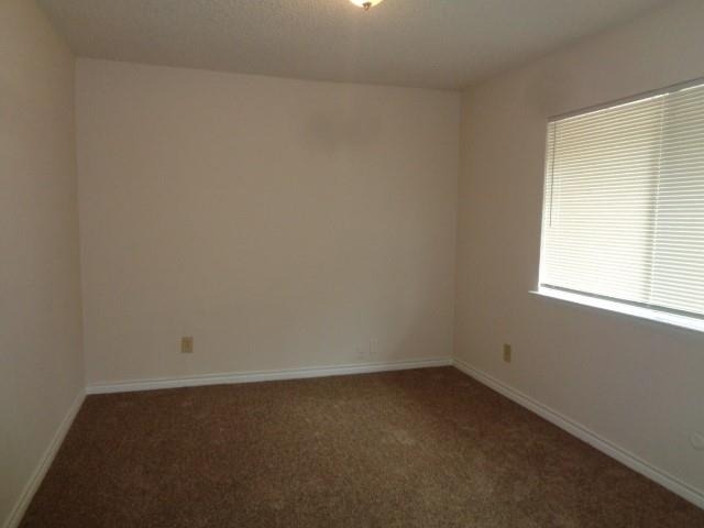 5644 Birchmont Drive - Photo 9