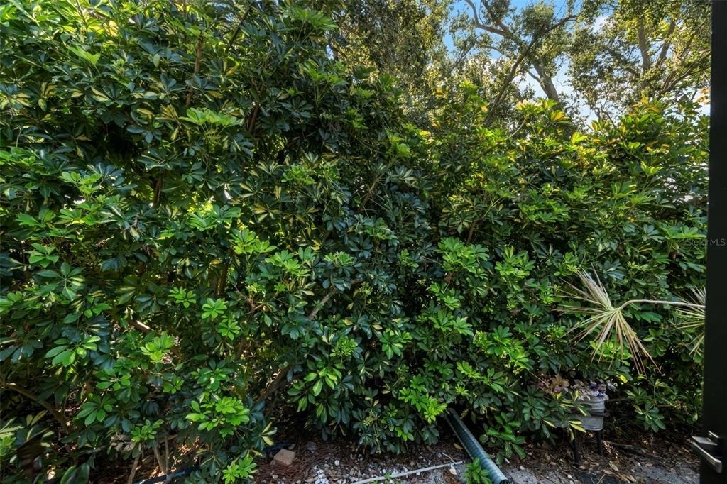 8809 Havenridge Drive - Photo 56