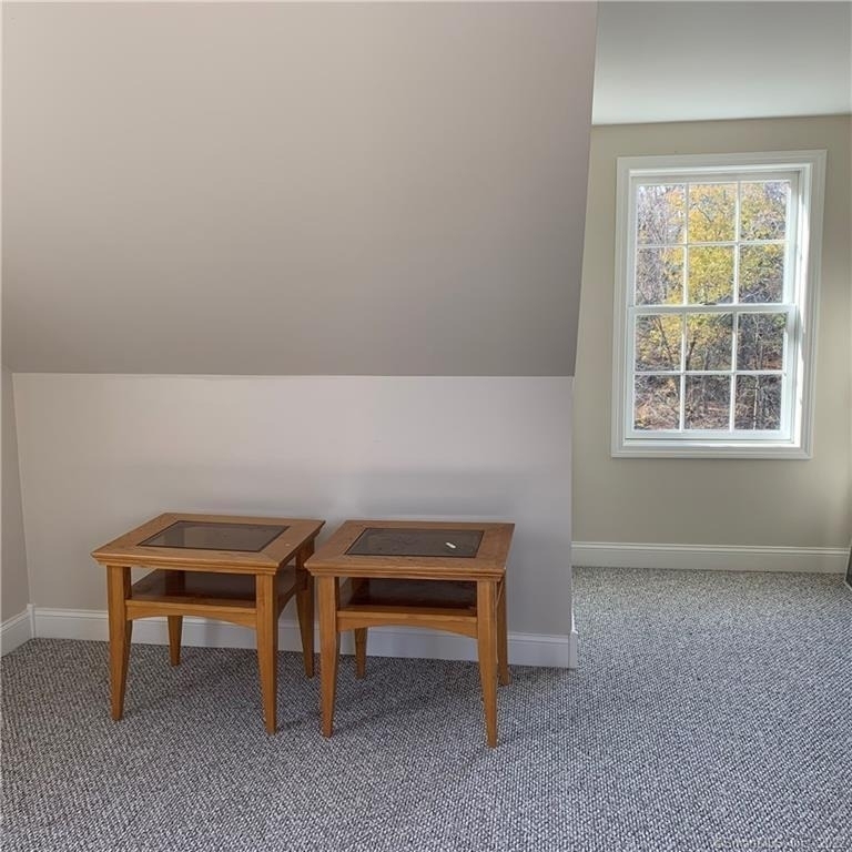 38 Merriman Lane - Photo 20