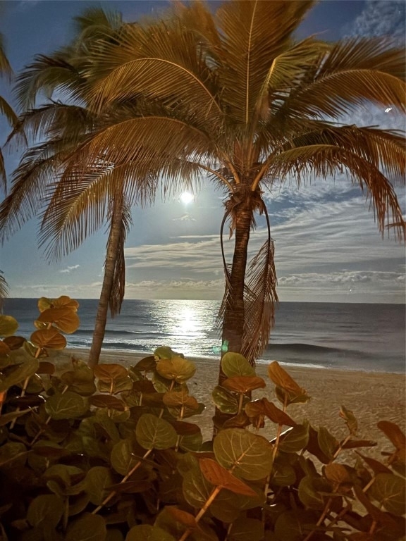 1370 S Ocean Boulevard - Photo 24