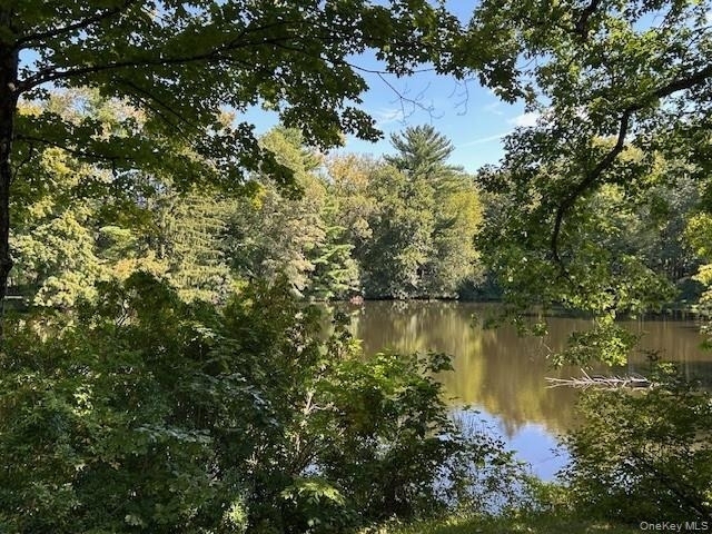272 Drake Road - Photo 41