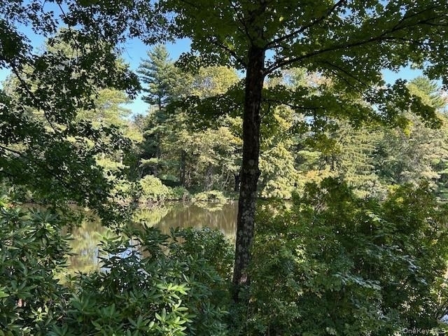 272 Drake Road - Photo 42