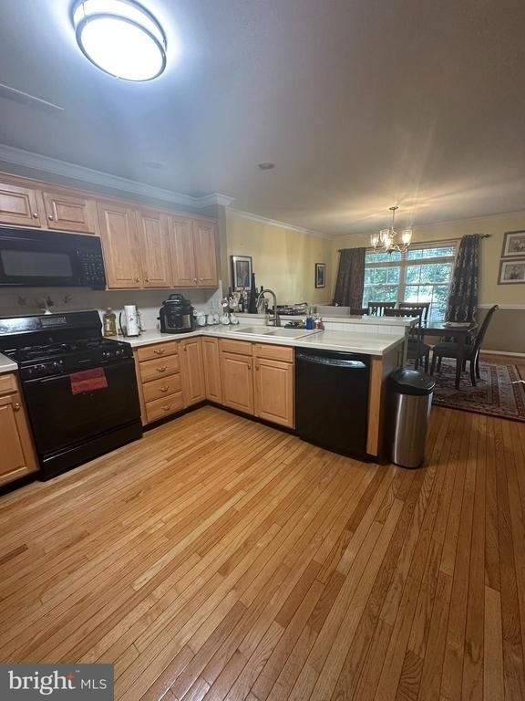 51 Hogan Way - Photo 4