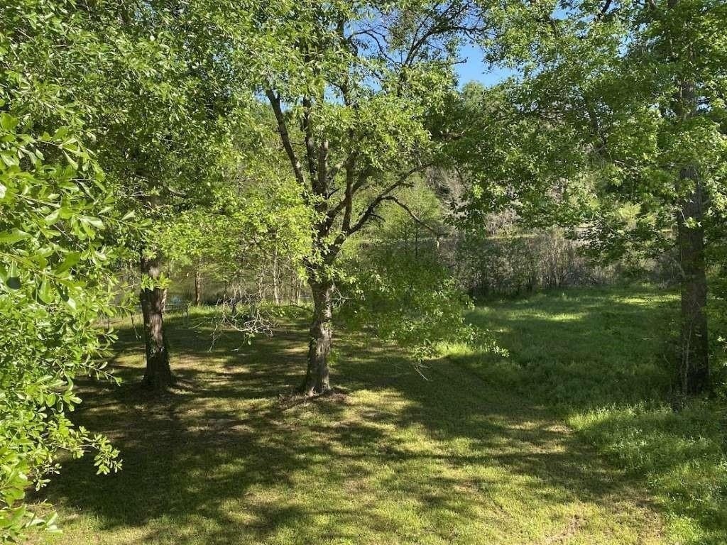 283 Wood Fern Drive - Photo 13