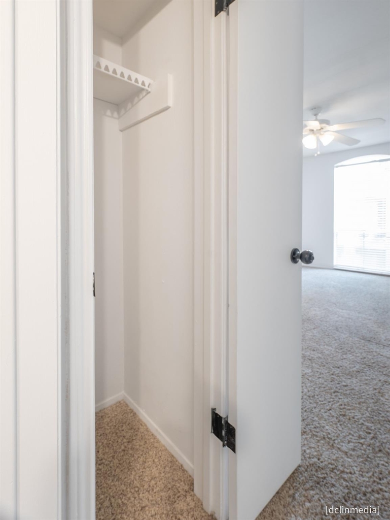 4645 Wild Indigo Street - Photo 16