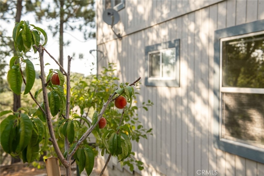 1477 Sequoia Drive - Photo 20
