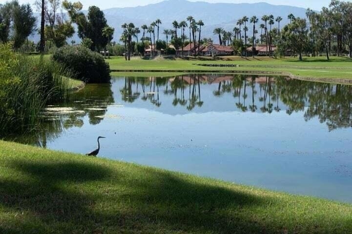 551 Desert Falls Drive N - Photo 12