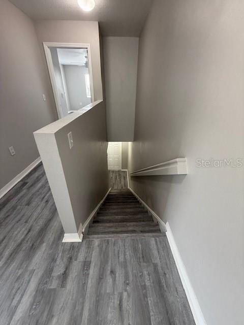 20460 Needletree Drive - Photo 8