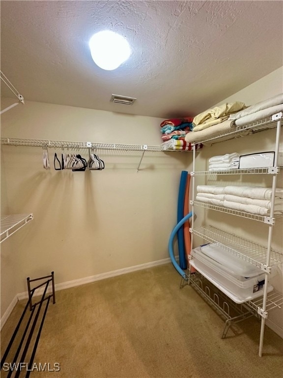 360 Horse Creek Drive - Photo 17