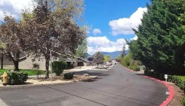 1100 Fruitdale Drive - Photo 4