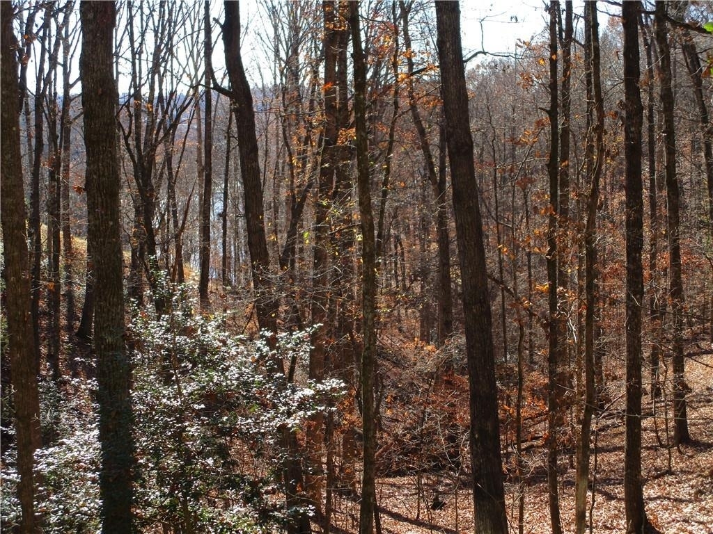 2429 Thompson Mill Road - Photo 51