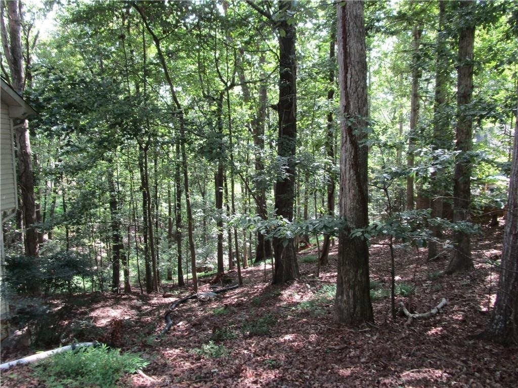 2429 Thompson Mill Road - Photo 48