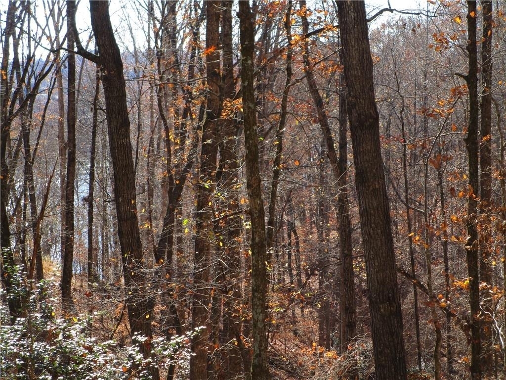 2429 Thompson Mill Road - Photo 50