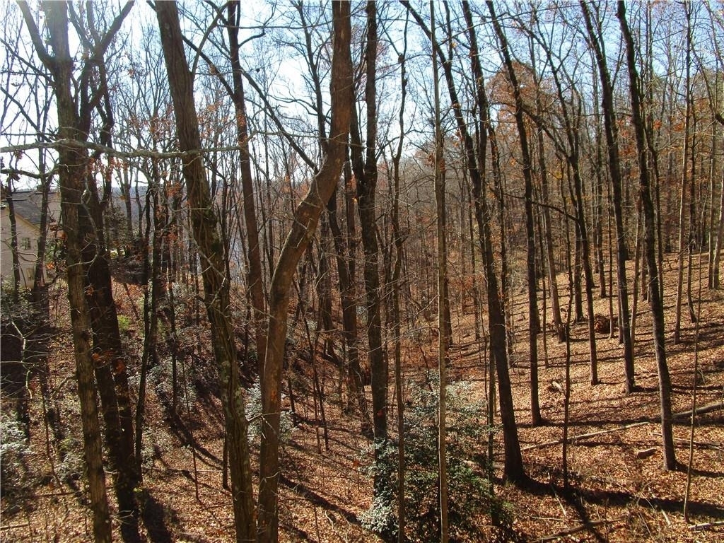 2429 Thompson Mill Road - Photo 49