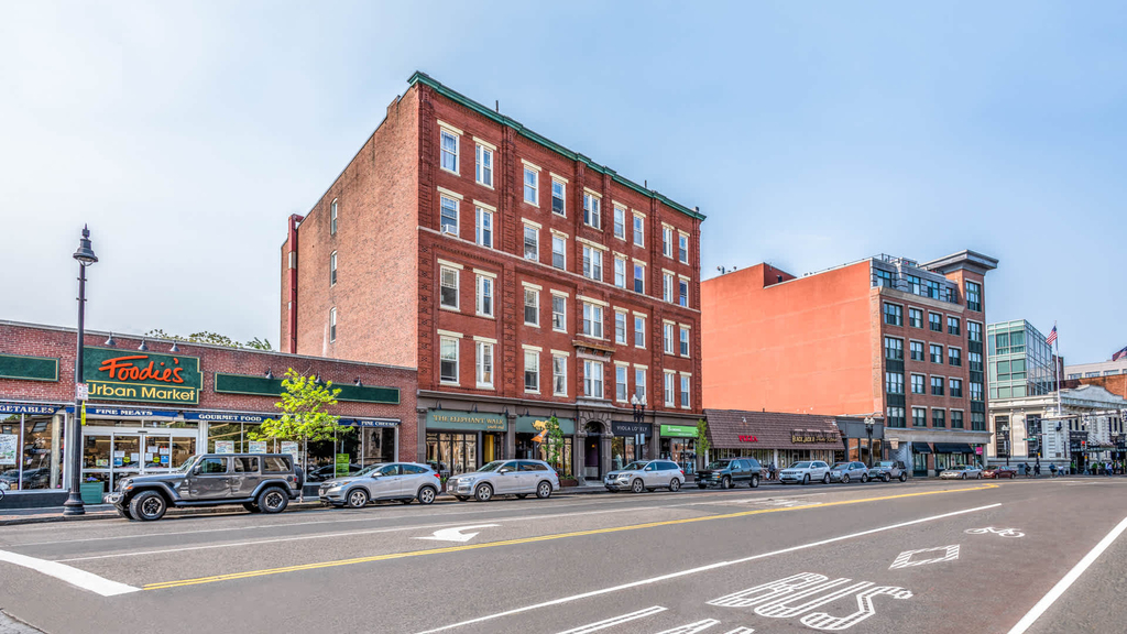 50 Malden St - Photo 34
