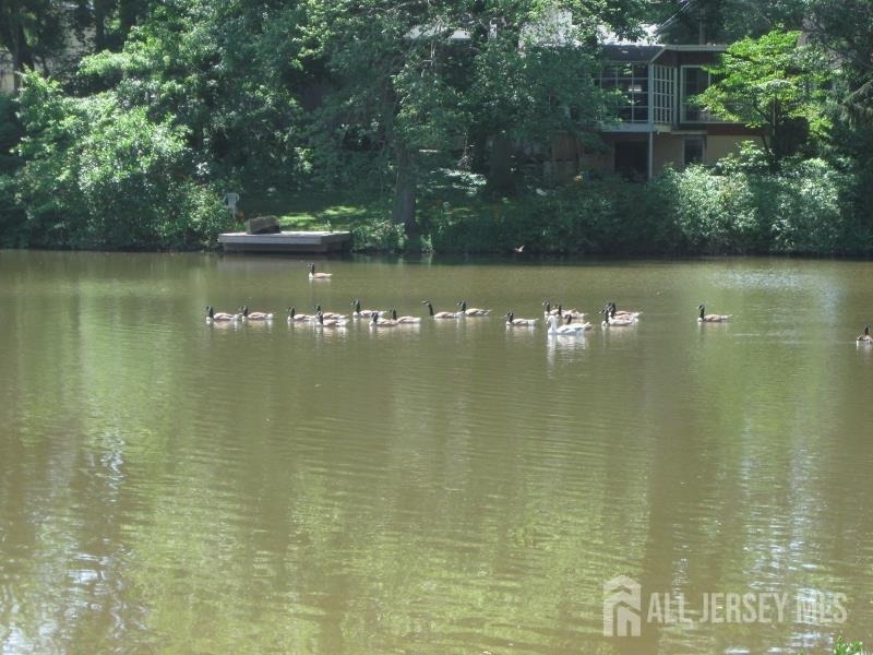 45 N Lakeside Drive - Photo 1