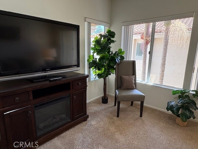 435 S Anaheim Hills Road - Photo 11