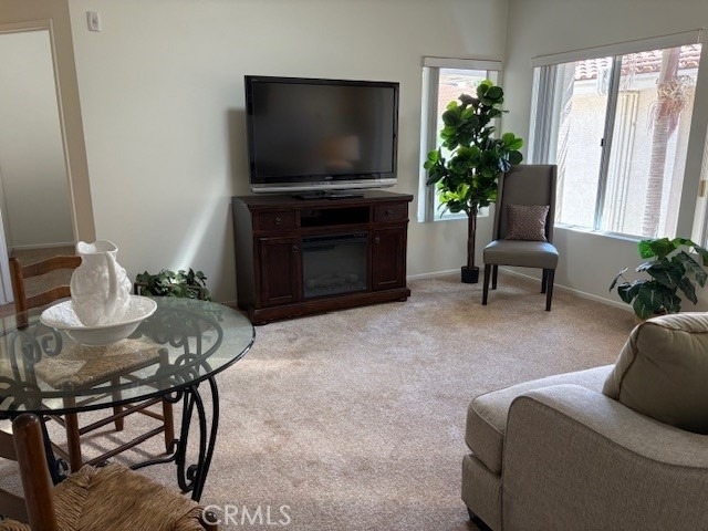 435 S Anaheim Hills Road - Photo 10