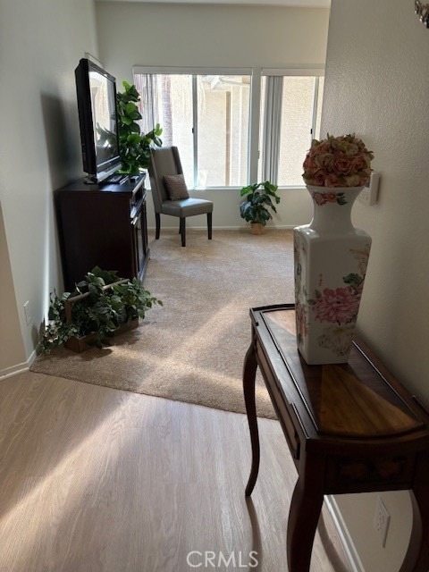435 S Anaheim Hills Road - Photo 9