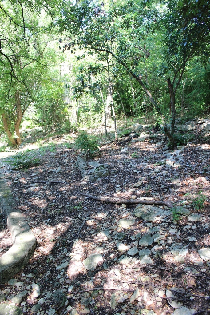 2309 Shoal Creek Blvd - Photo 31