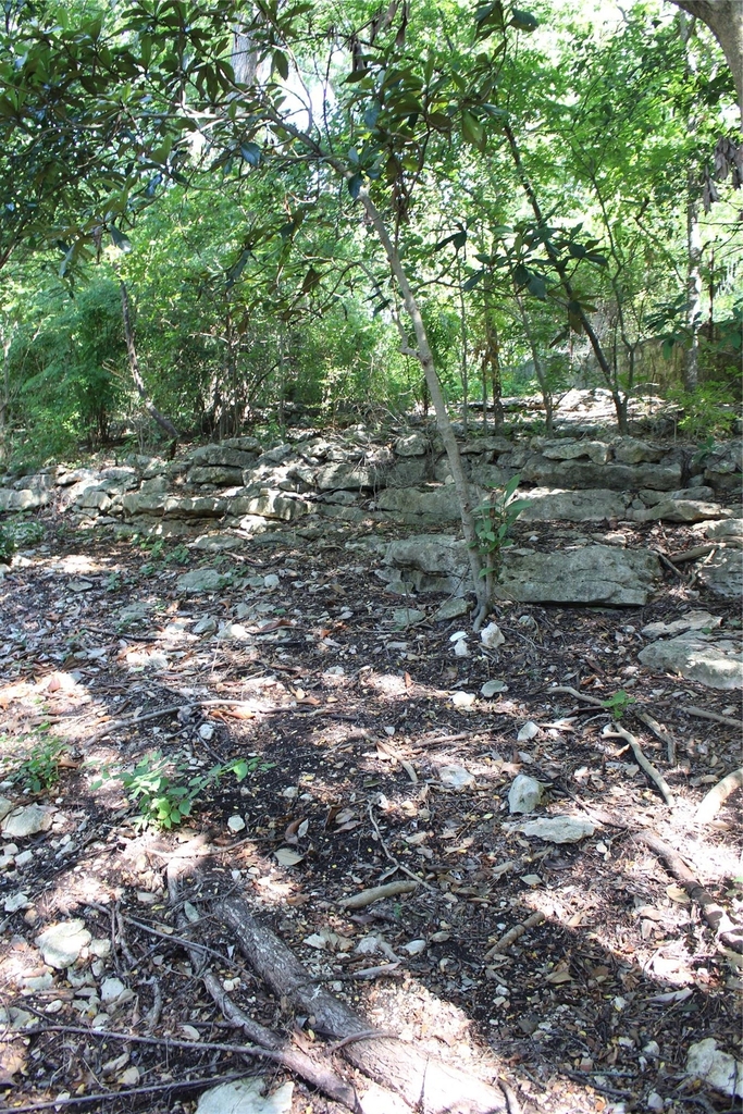 2309 Shoal Creek Blvd - Photo 32