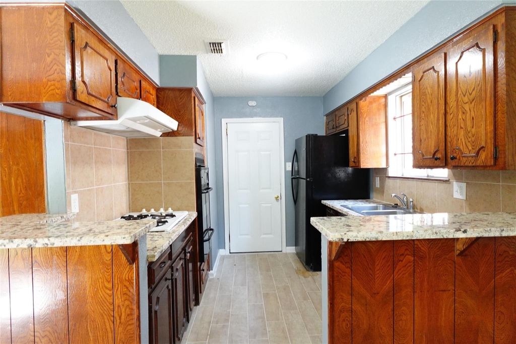 10642 Wolbrook Street - Photo 2