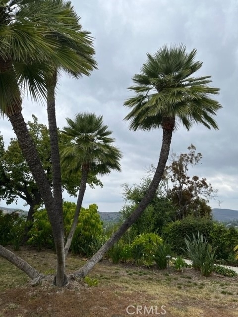 2109 Hillsbury Road - Photo 3