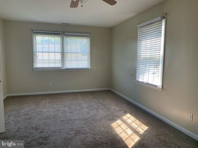31275 Dogwood Acres Road - Photo 11