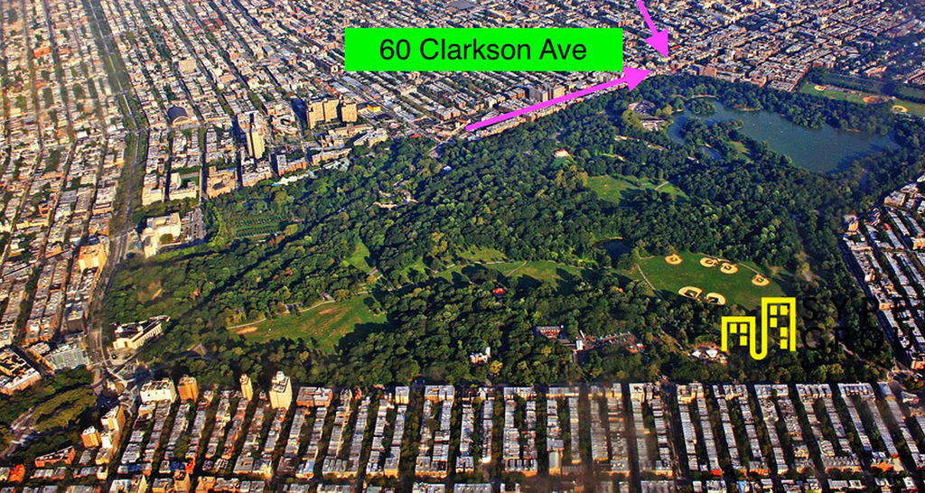 62 Clarkson Avenue - Photo 8
