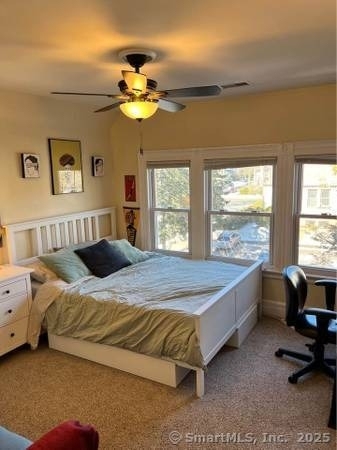 253 Lawrence Street - Photo 4