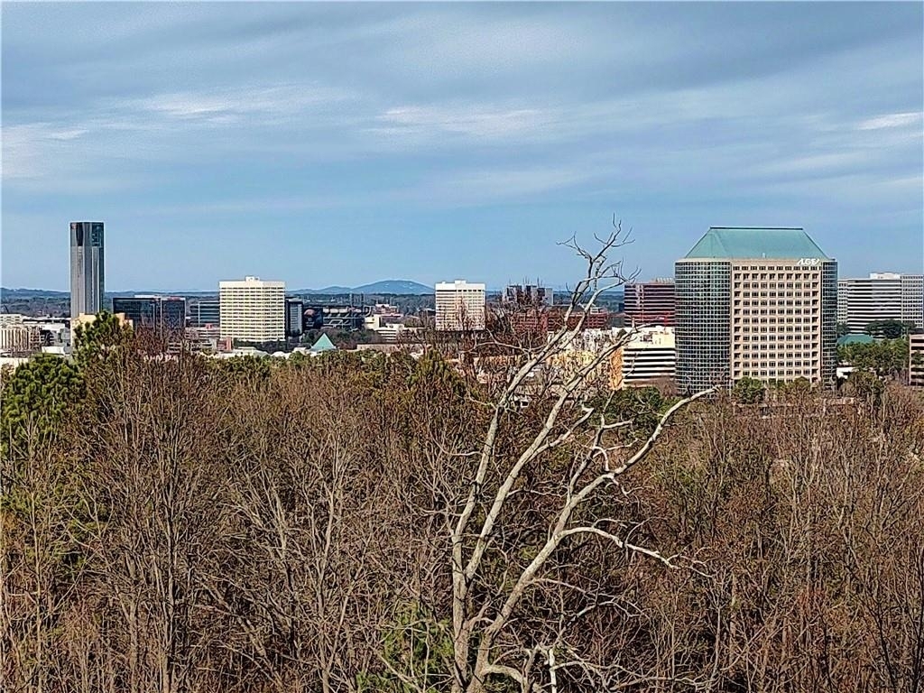2950 Mount Wilkinson Parkway Se - Photo 33