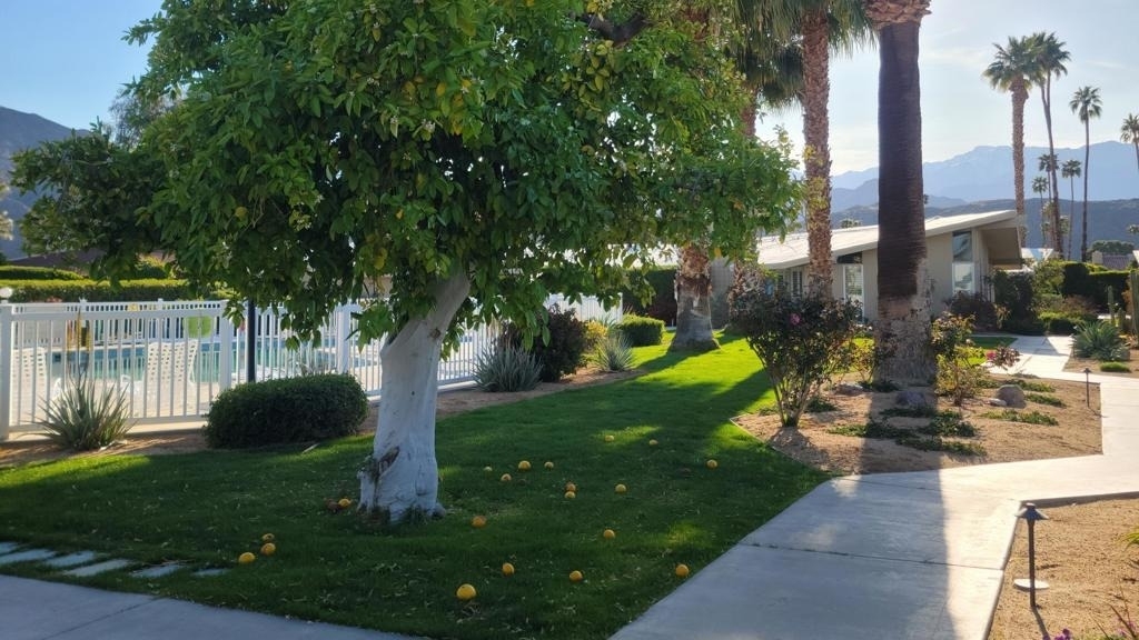 37800 Da Vall Drive - Photo 34