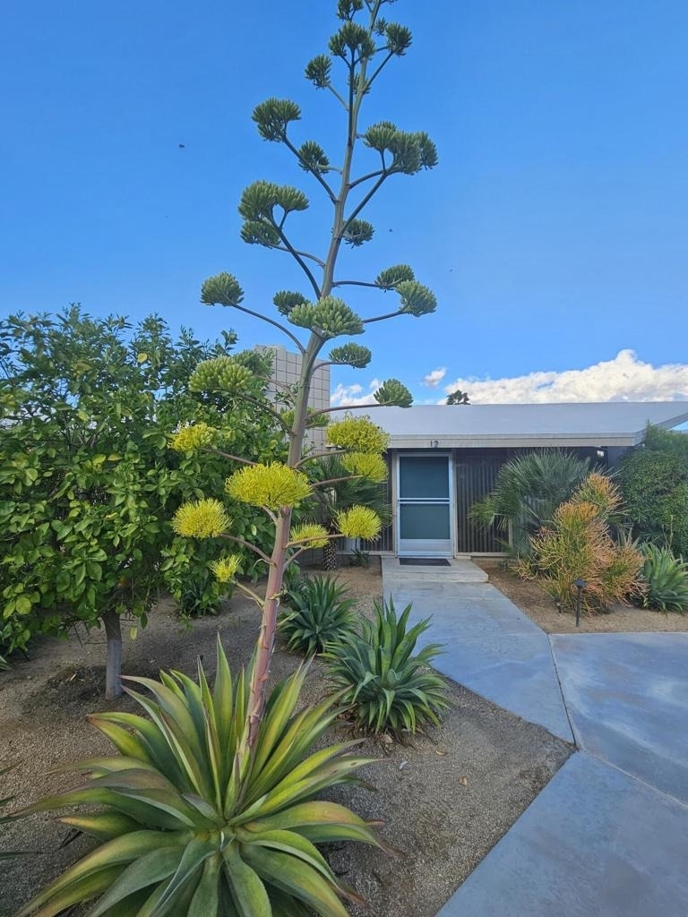 37800 Da Vall Drive - Photo 1