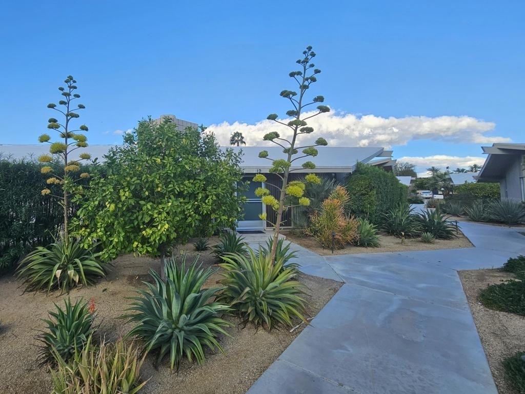 37800 Da Vall Drive - Photo 33