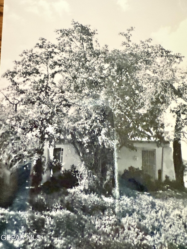 611 New York Avenue - Photo 48