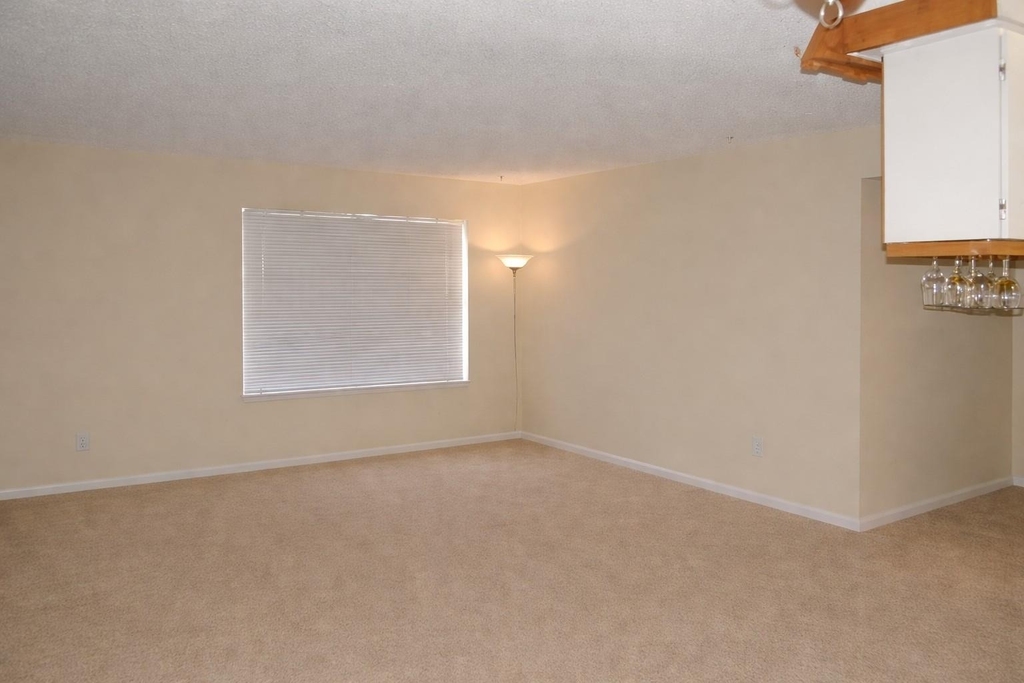 910 Duncan Ln - Photo 7