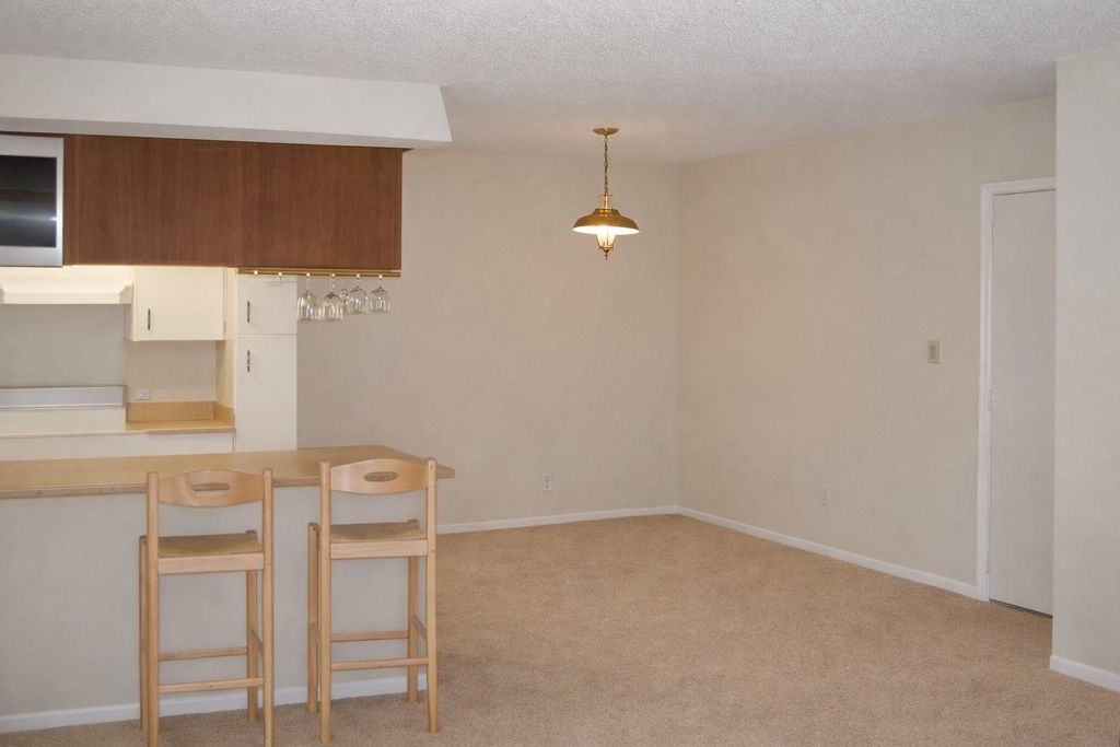 910 Duncan Ln - Photo 8