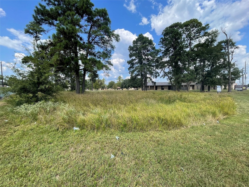 7927 Fm 1960 Road E - Photo 12