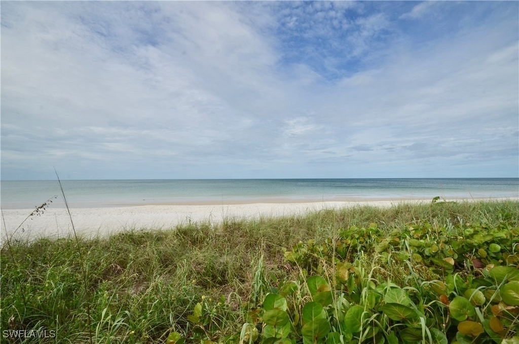 10851 Gulf Shore Drive - Photo 1
