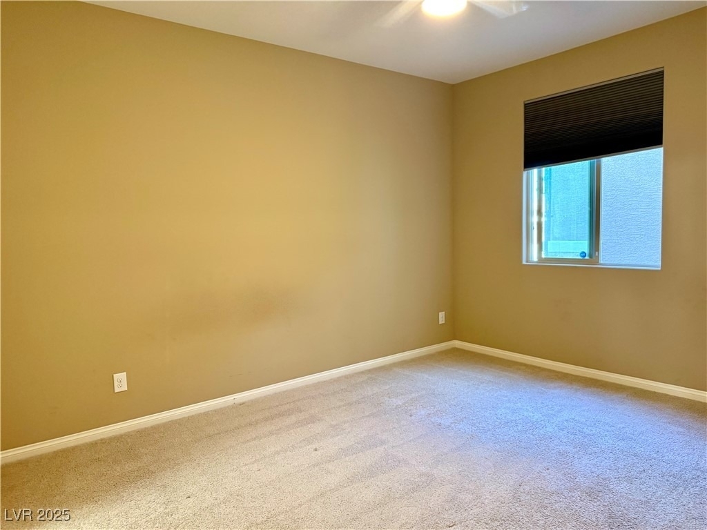 6298 Starflare Street - Photo 14