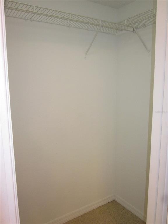 10200 Gandy Boulevard N - Photo 11