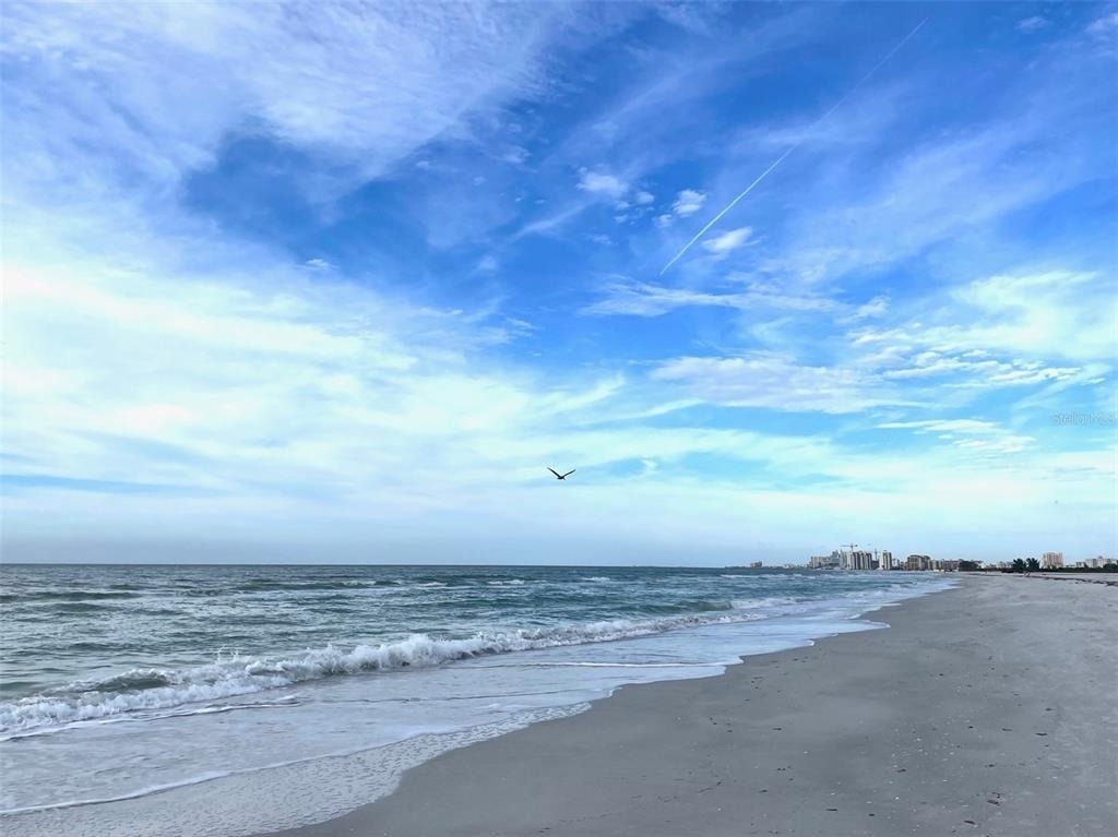 1230 Gulf Boulevard - Photo 9