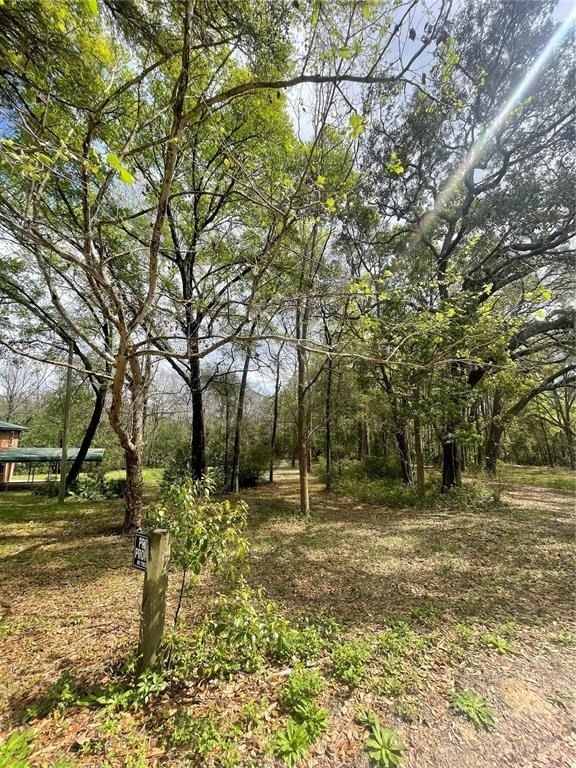 121 Sweet Gum Drive - Photo 8