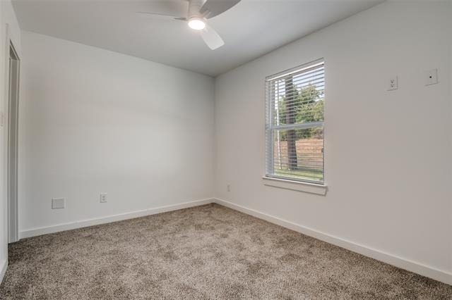 3305 Mineola Street - Photo 6